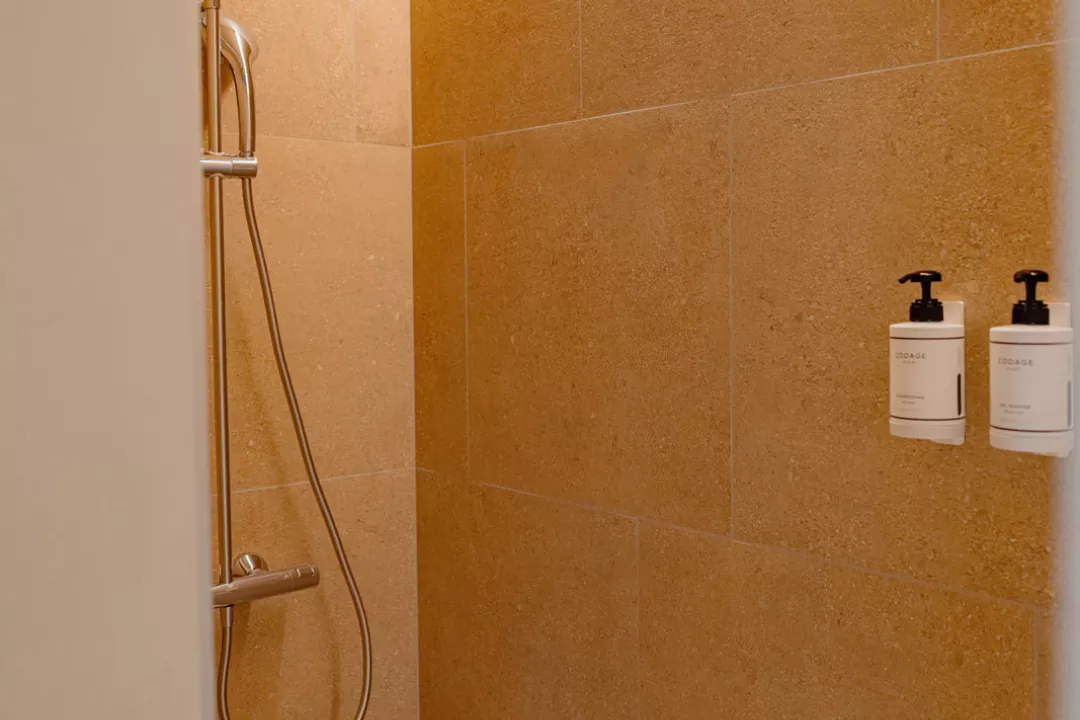 Ensuite bathroom with shower